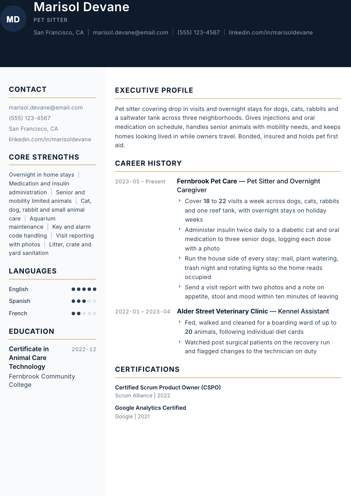 Pet Sitter resume example, Consulate template