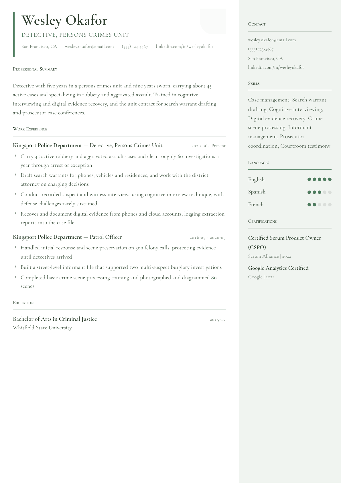 Police Detective resume example, Copenhagen template