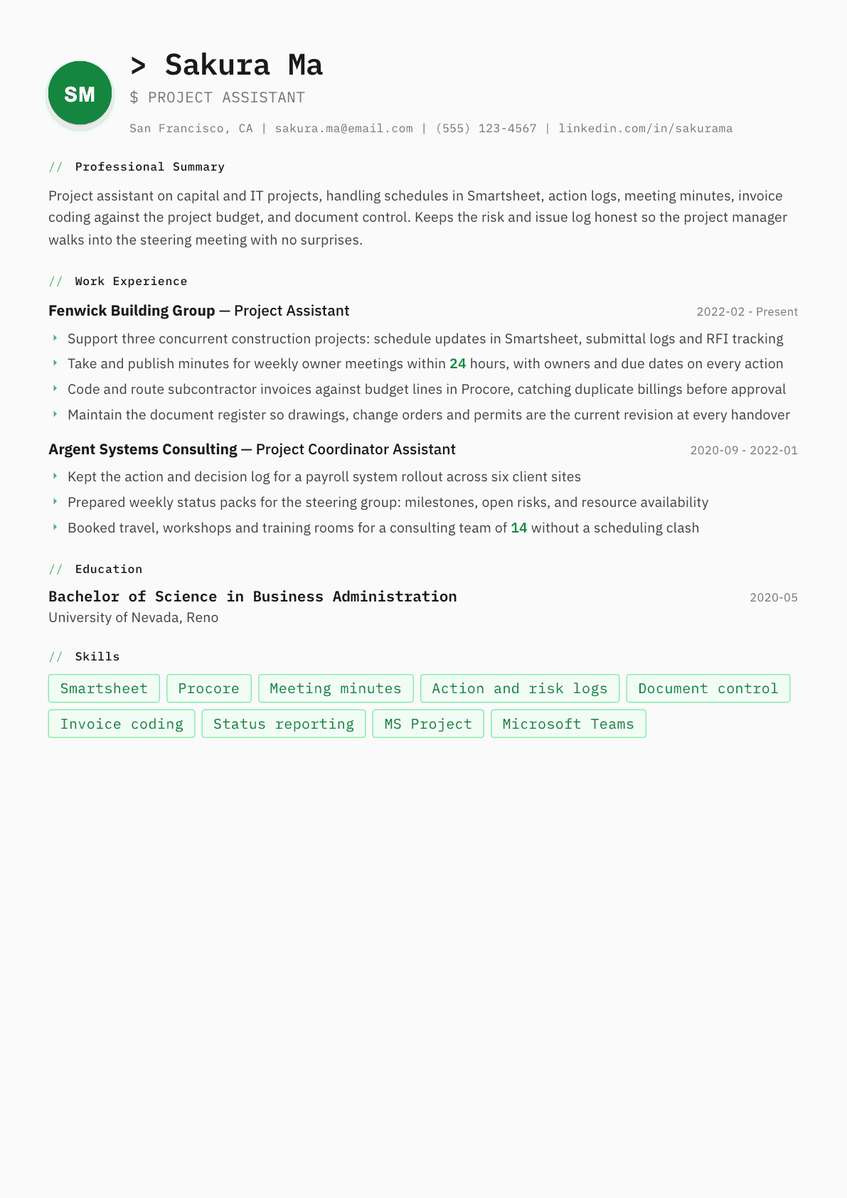 Project Assistant resume example, Amsterdam template