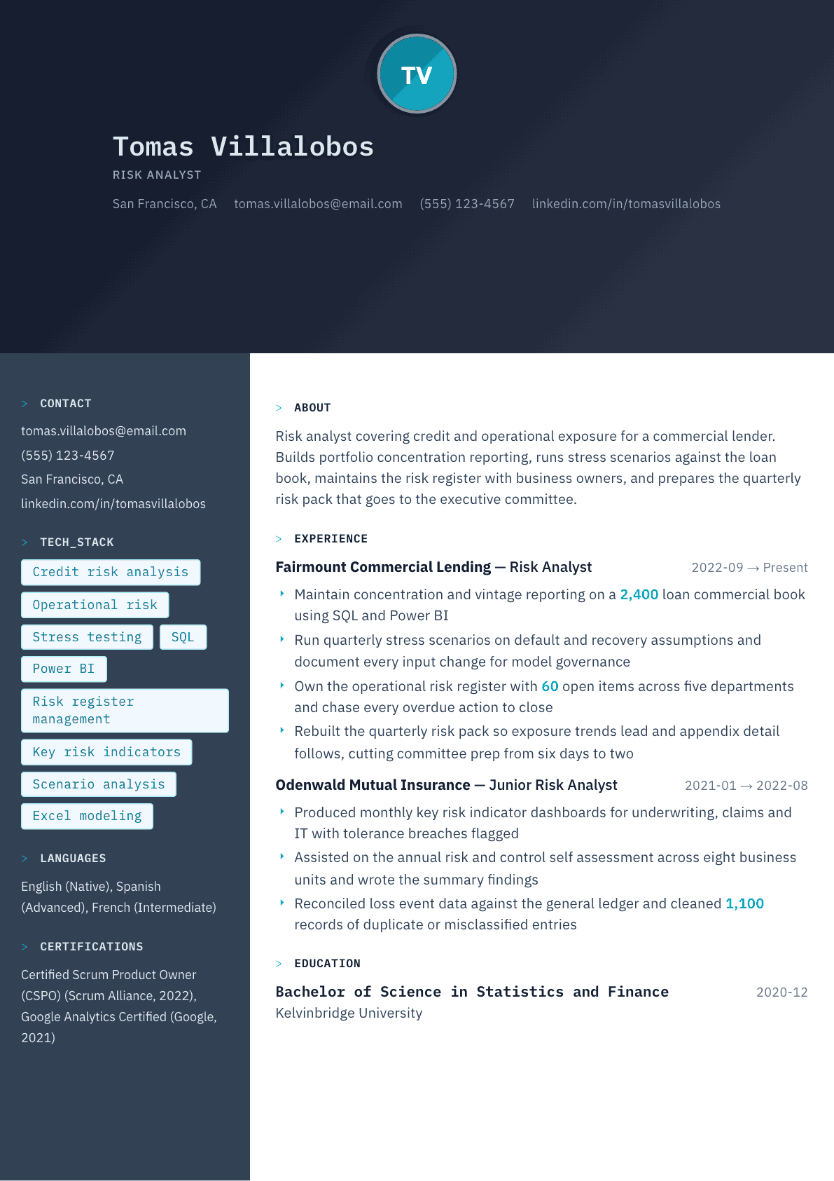 Risk Analyst resume example, Code Terminal template