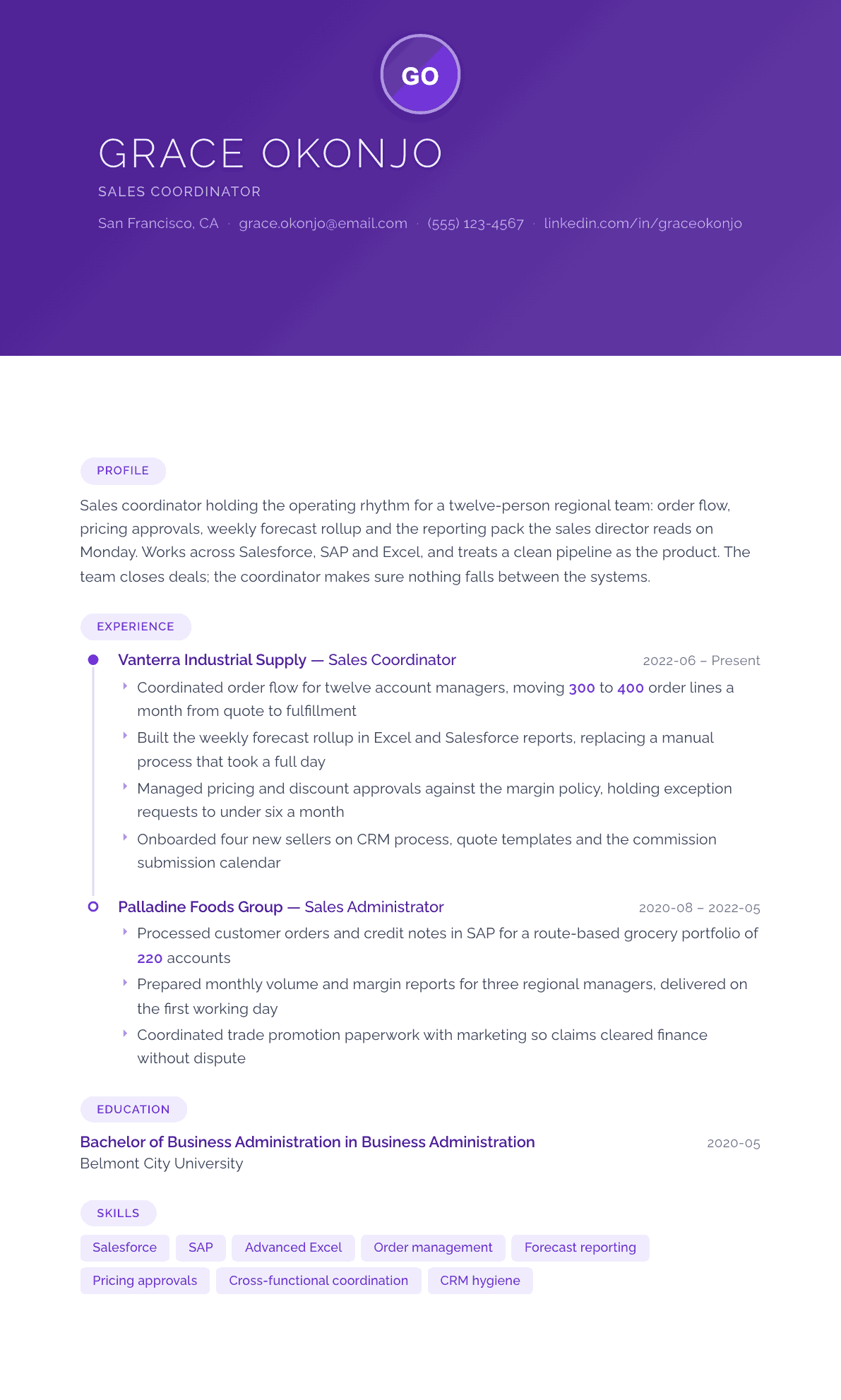 Sales Coordinator resume example, Canvas template