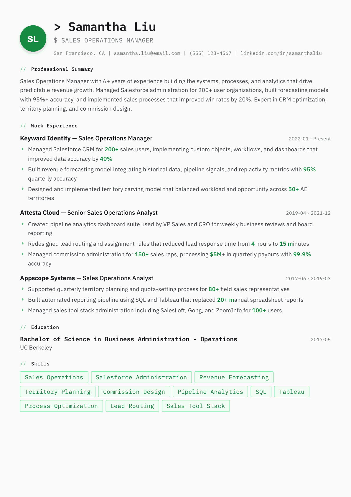 Sales Operations Manager resume example, Amsterdam template