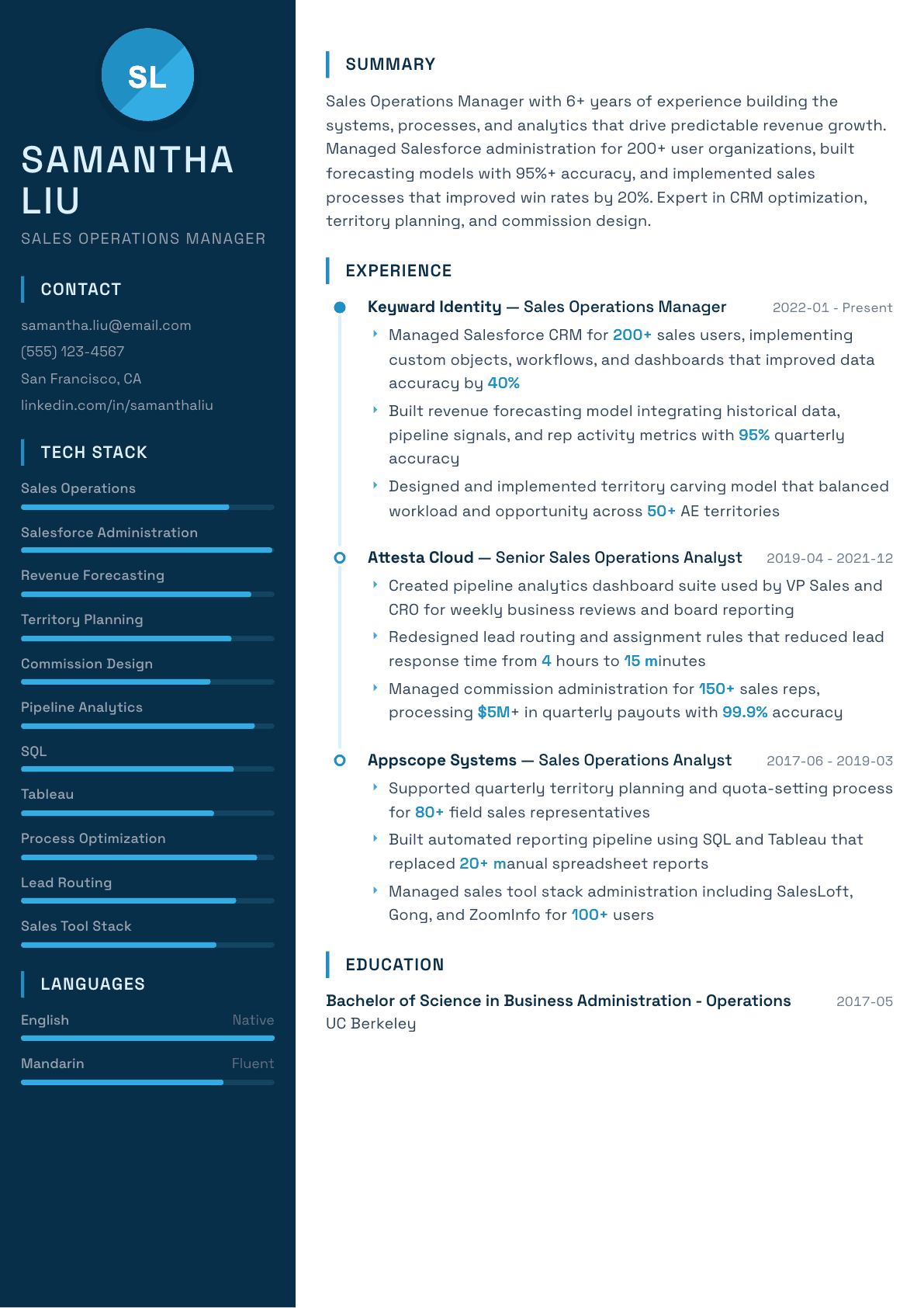 Sales Operations Manager resume example, Circuit template