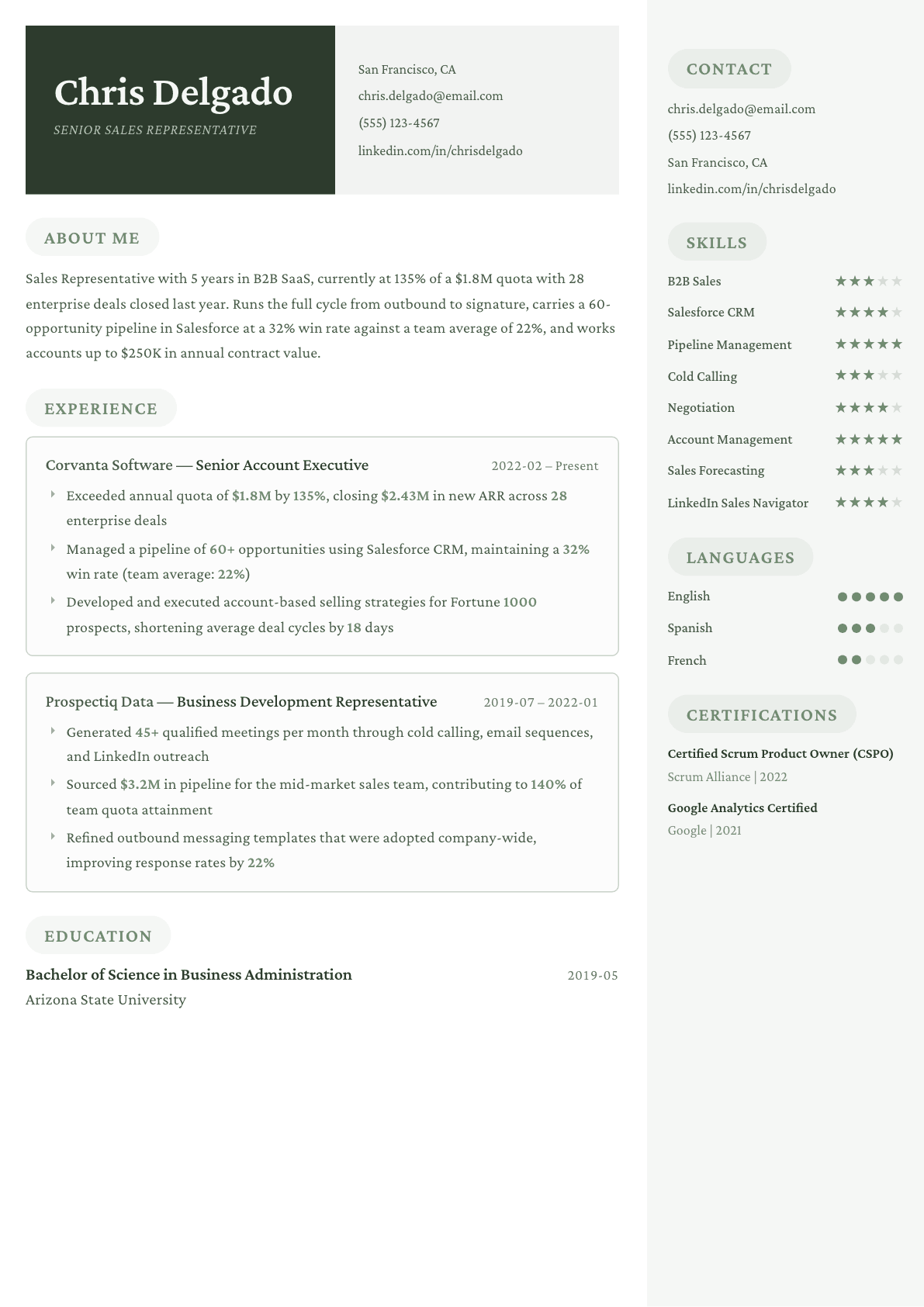 Sales Representative resume example, Mayfair template