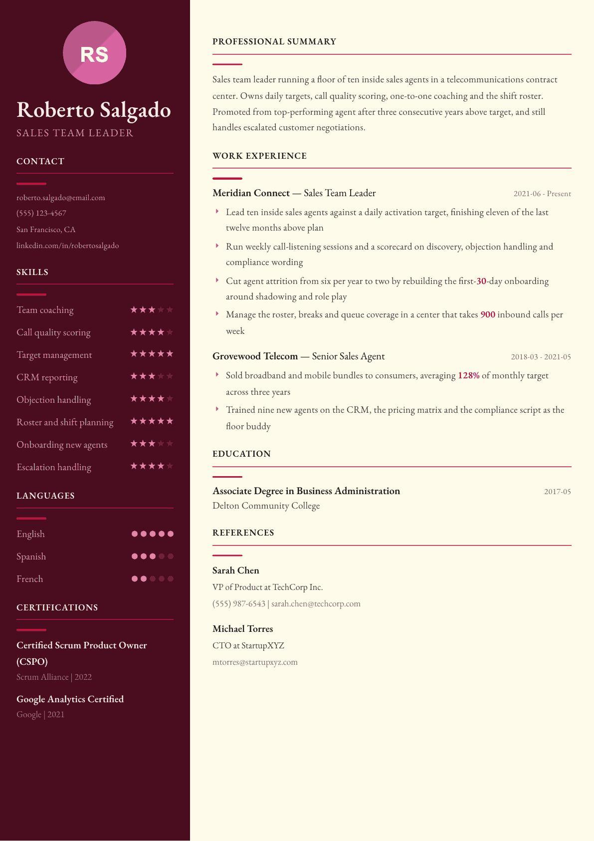 Sales Team Leader resume example, Dubai template