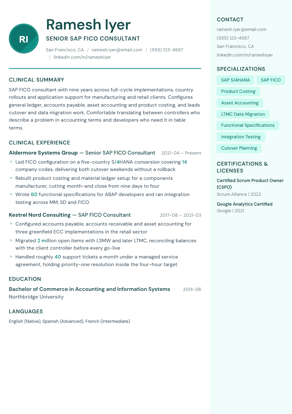 SAP Consultant resume example, Remedy template