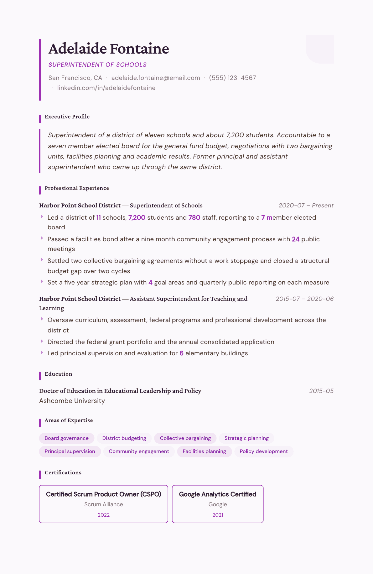 Superintendent resume example, Plum Noir template