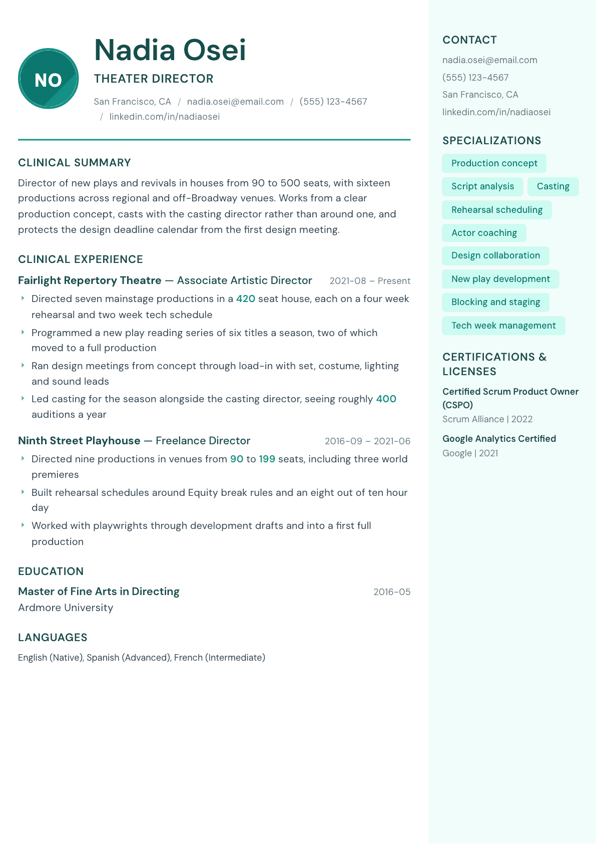 Theater Director resume example, Remedy template