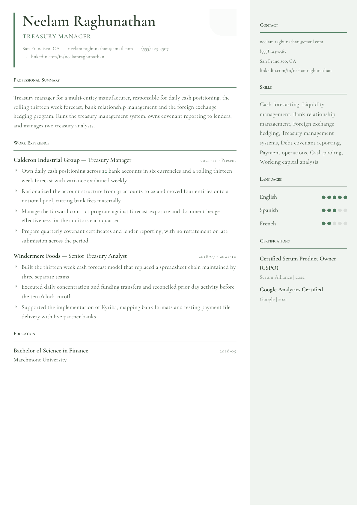 Treasury Manager resume example, Copenhagen template