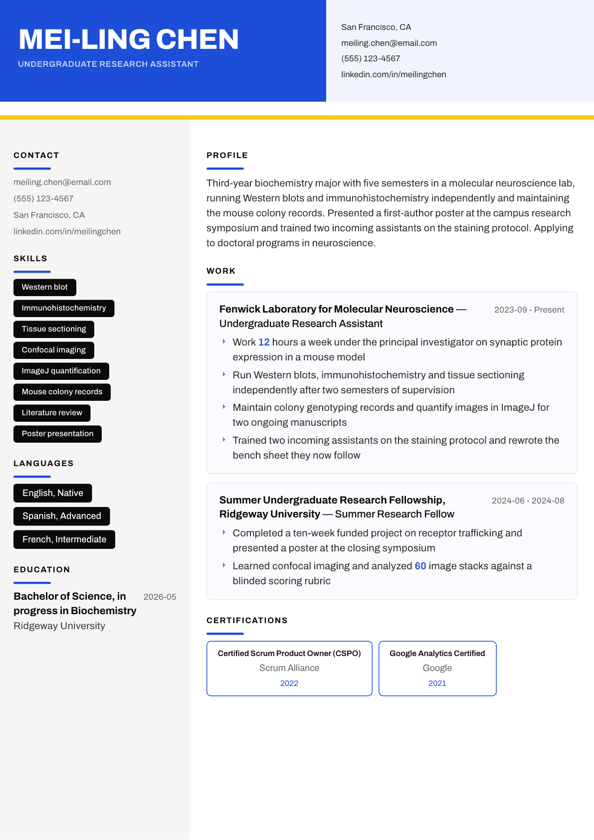 Undergraduate Research Assistant resume example, Kontrast template
