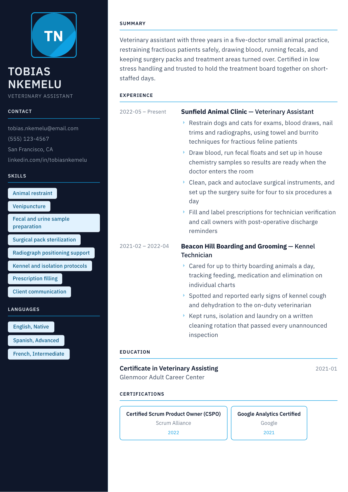 Veterinary Assistant resume example, Everest template