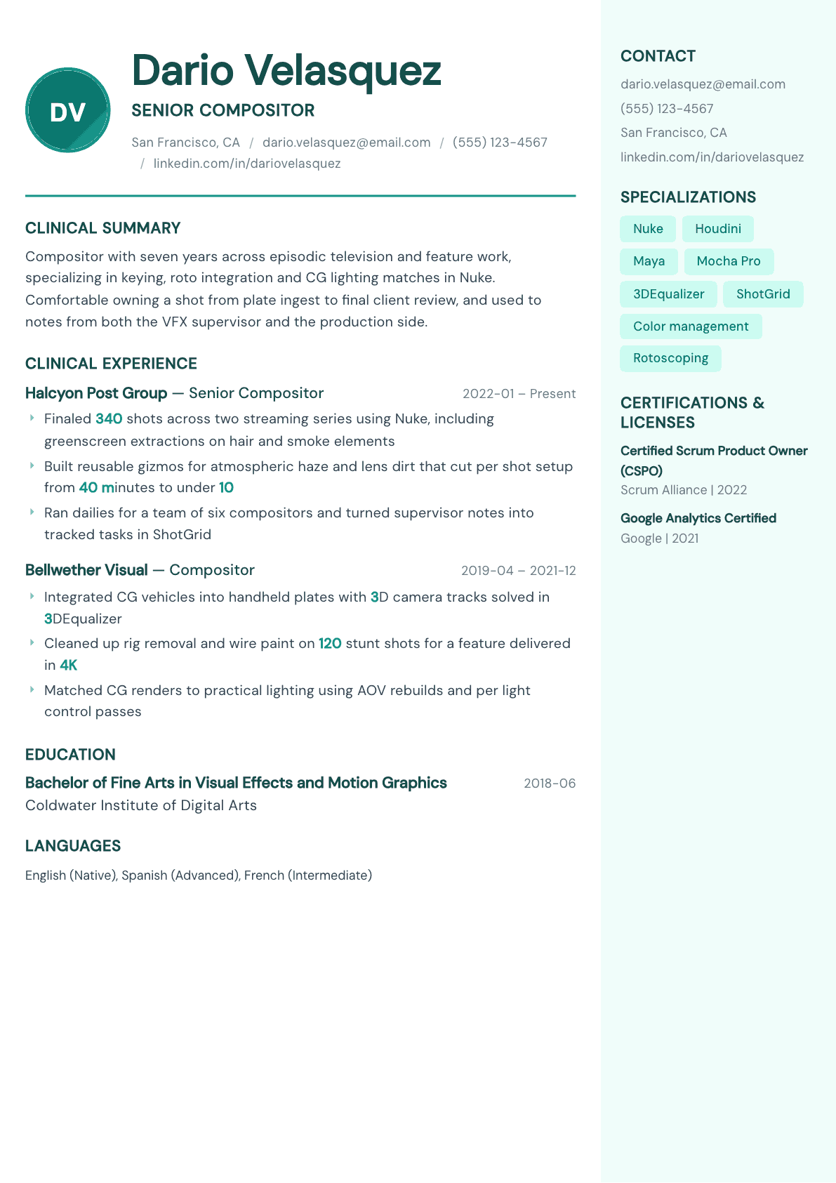 VFX Artist resume example, Remedy template