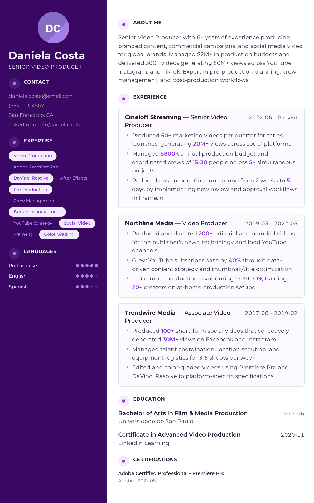 Video Producer resume example, Palette template