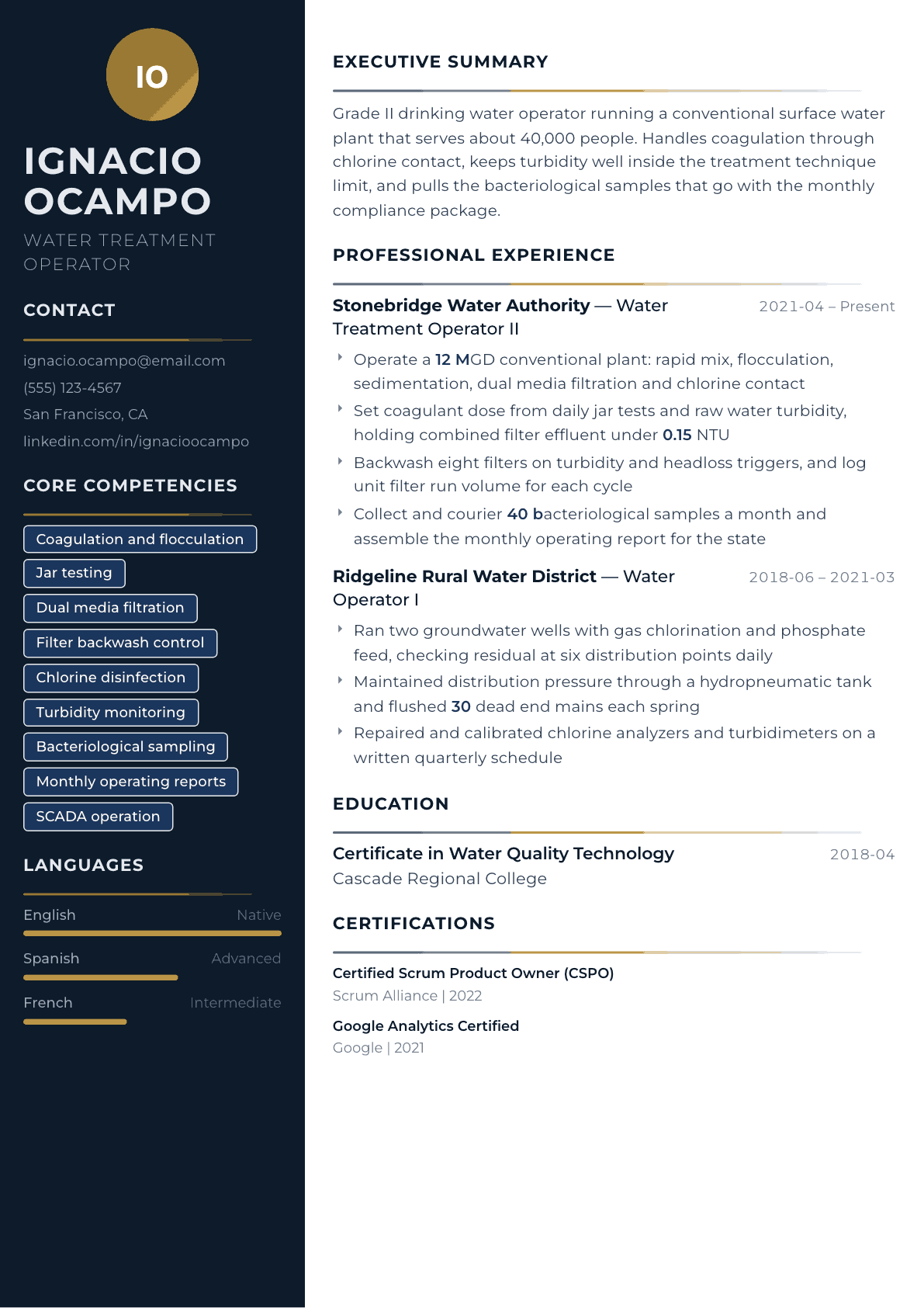 Water Treatment Operator resume example, Catalyst template