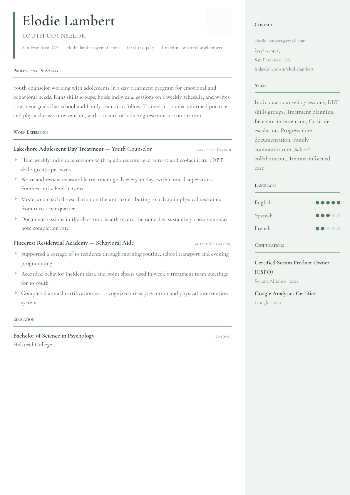 Youth Counselor resume example, Copenhagen template