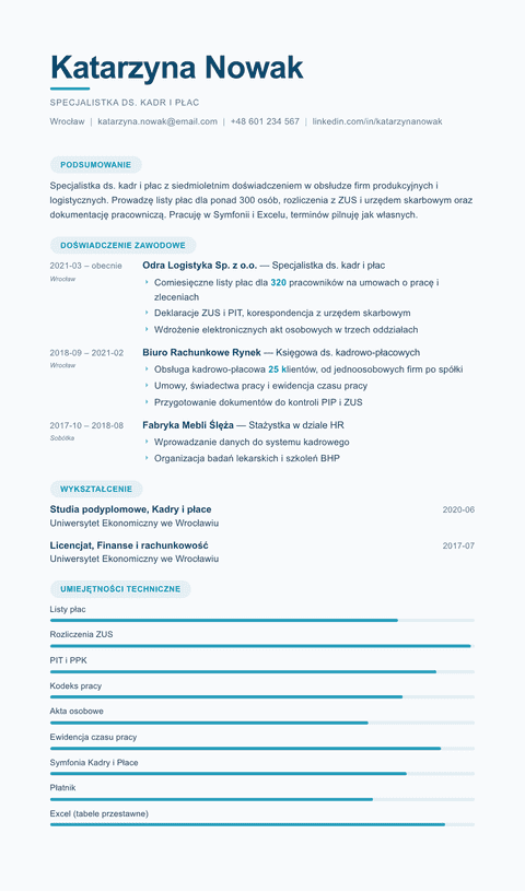 Szablon CV Horizon